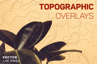Topography Overlays 8 Pack: Enhancing Design with High-Resolution Textures